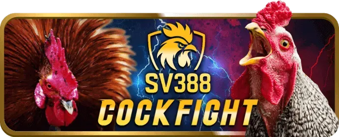 Lợi ích độc quyền cho thành viên VIP vnew88 casino